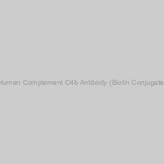 Image of Human Complement C4b Antibody (Biotin Conjugate)